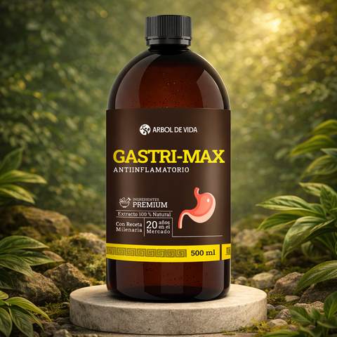 Gastri-Max 500 ml