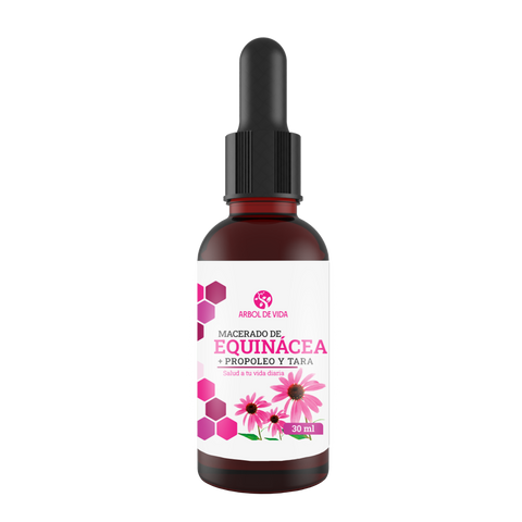 Macerado de Equinacea 30ML
