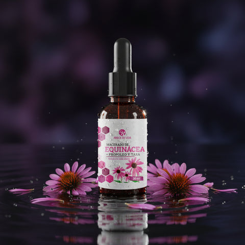 Macerado de Equinacea 30ML